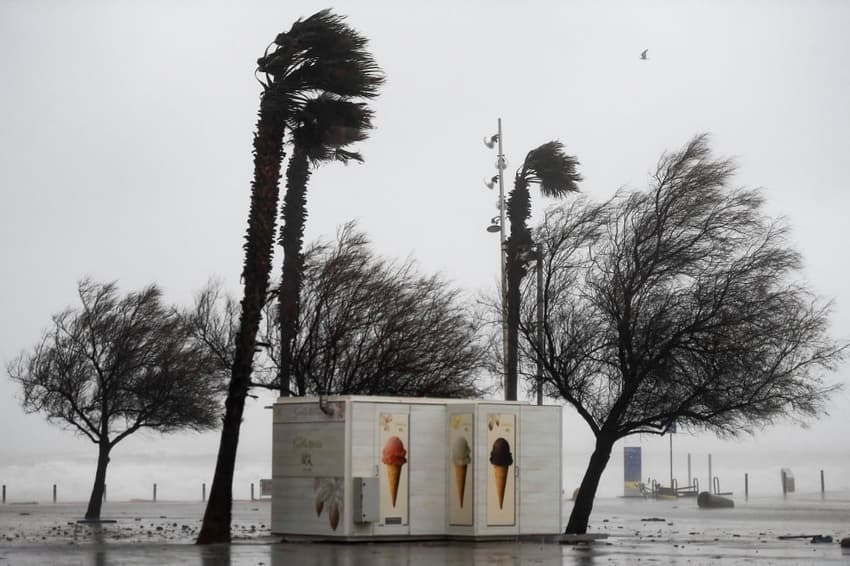 WATCH: Spain's Mallorca battered by storm with gale force winds and heavy rain