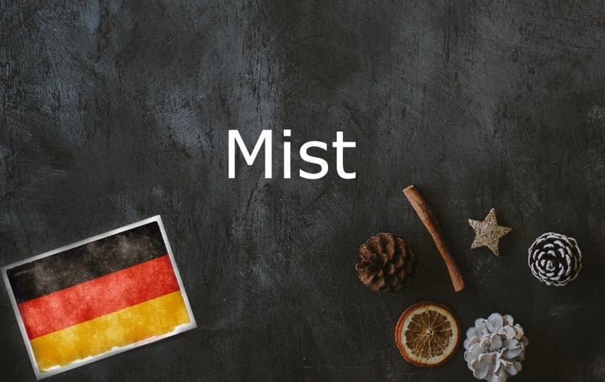 German word of the day: Mist
