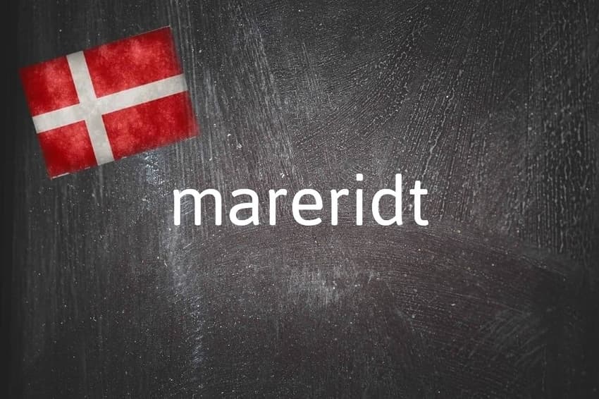 Danish word of the day: Mareridt