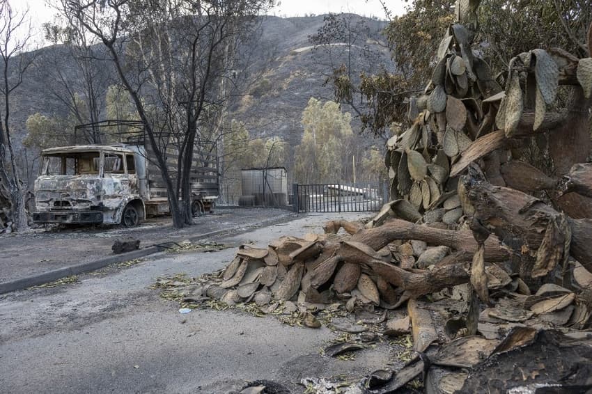 Two die and 700 evacuated in Sicily wildfires