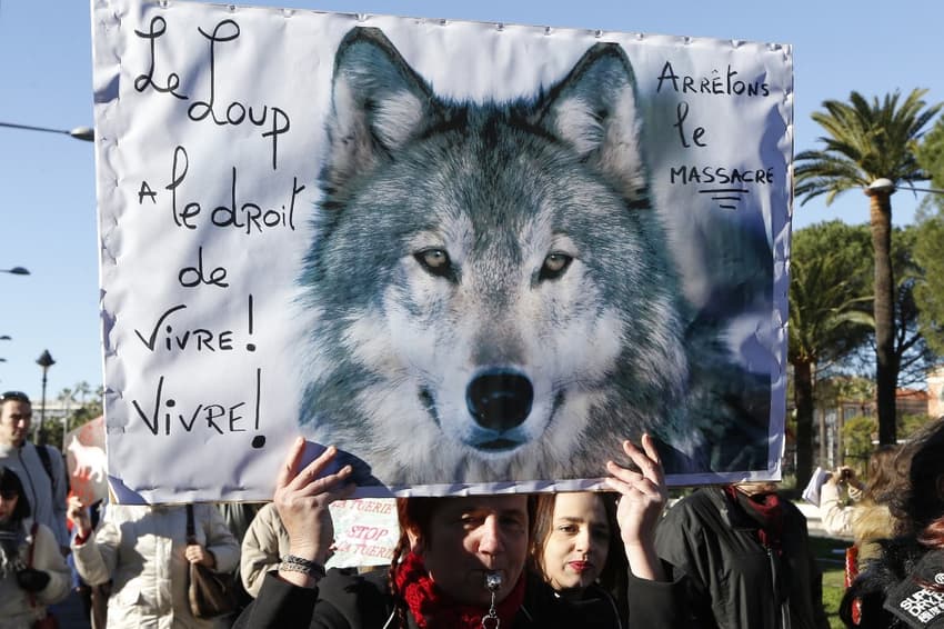 Howl of disapproval: French activists quit wolf talks