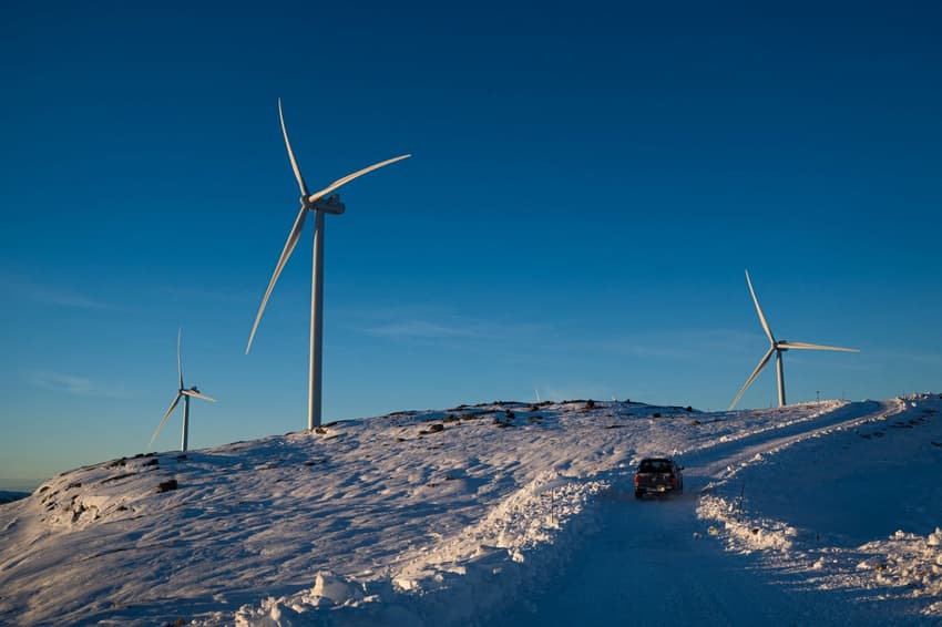 Reindeer vs wind turbines: Norway's row with indigenous Sami explained