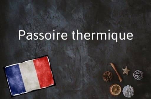 French Phrase of the Day: Passoire thermique