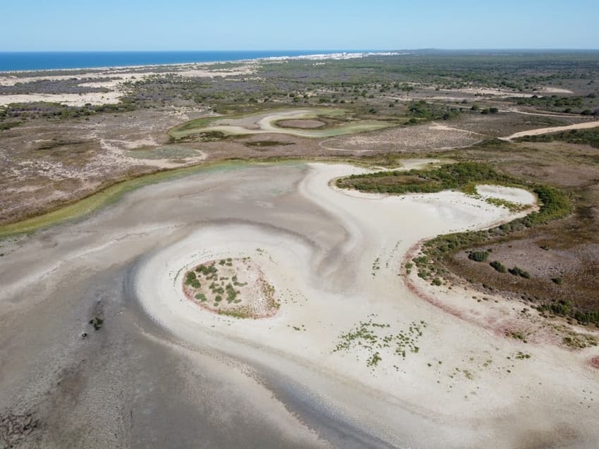 EXPLAINED: Spain's €1.4-billion plan to save endangered Doñana wetlands