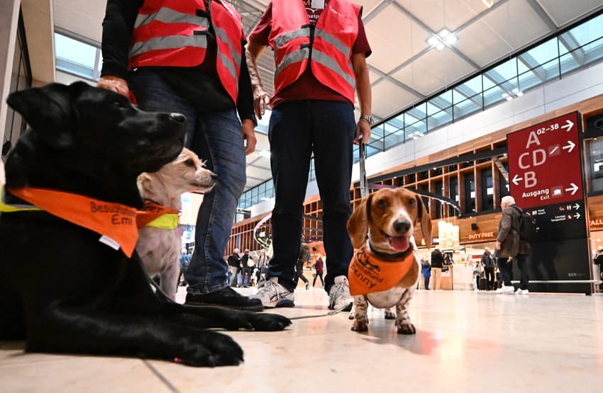 Paw patrol: dogs soothe nerves at Berlin's 'cursed' airport