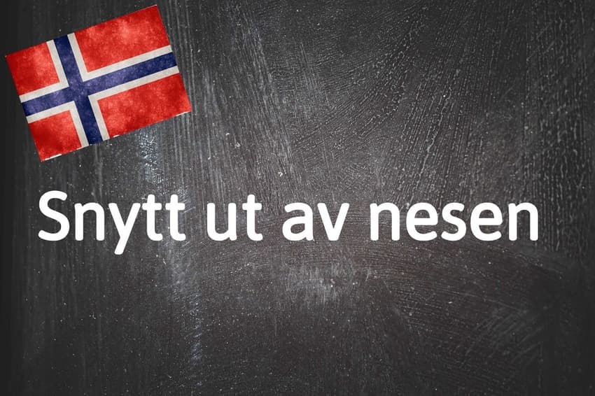 Norwegian expression of the day: Snytt ut av nesen