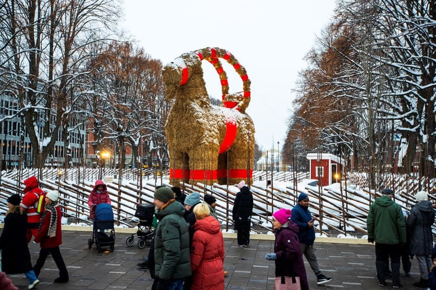 Gävle's Christmas goat begins battle against the arsonists