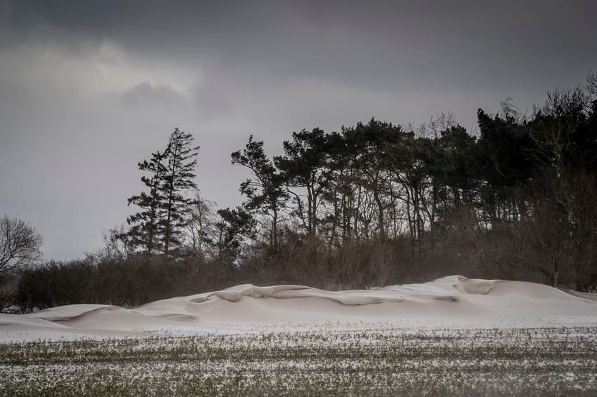 How much snow will fall in Denmark this week?