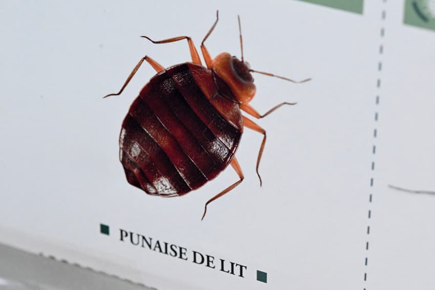 French court jails two over bedbug scam
