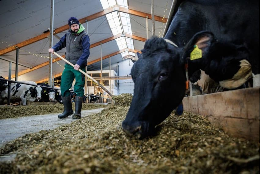 German family farm struggles fuel protest discontent