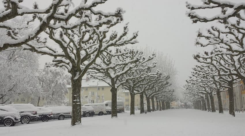 Travel to Switzerland disrupted as winter weather hits Germany