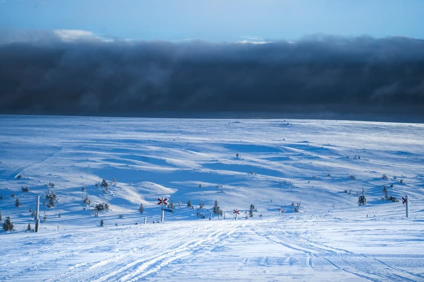 Reader photo of the week: 'One of the most beautiful winters I've spent in Sweden'