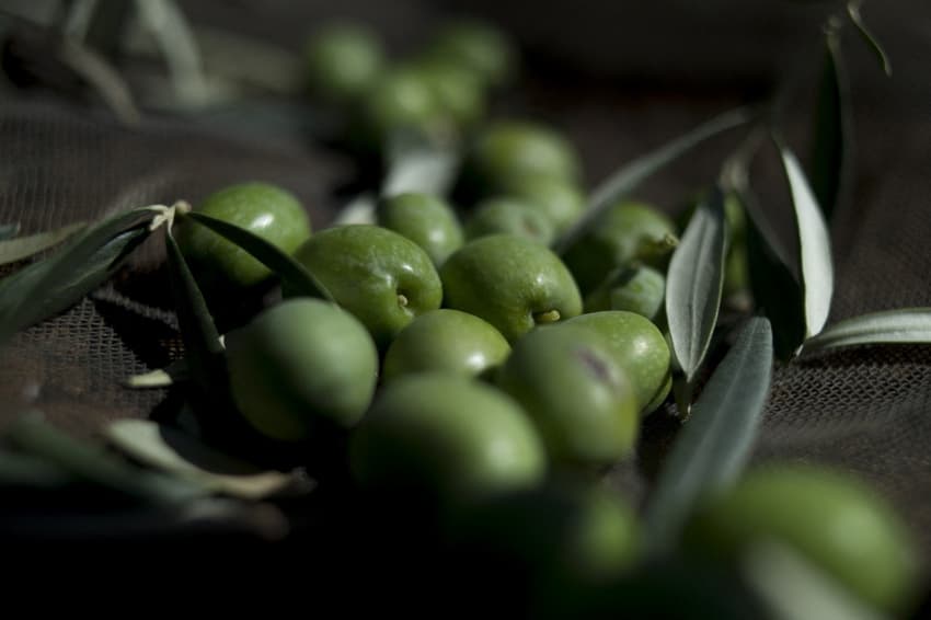 US faulted at WTO for not fixing Spanish olive tariffs as ordered