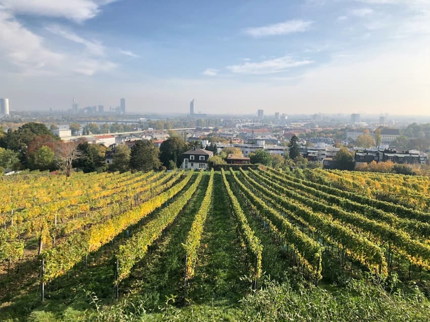 IN NUMBERS: The essential guide to Vienna's ten outer districts