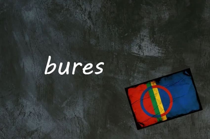 Norwegian word of the day: Bures