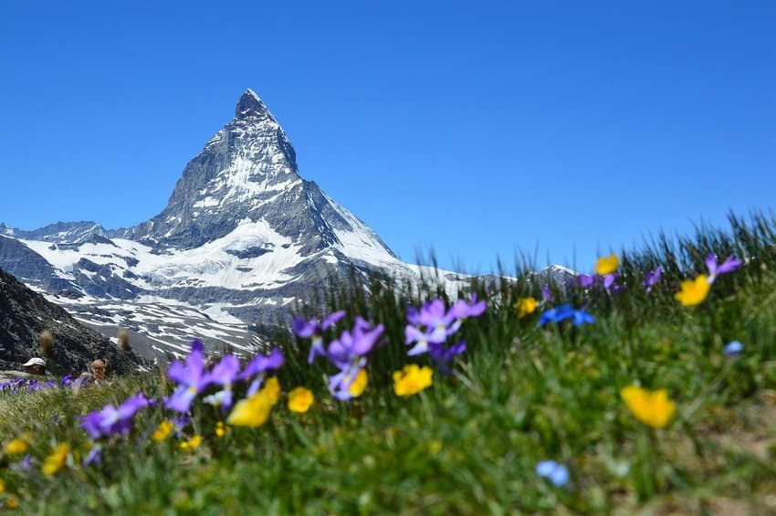 Switzerland sees warmest February since records began in 1864