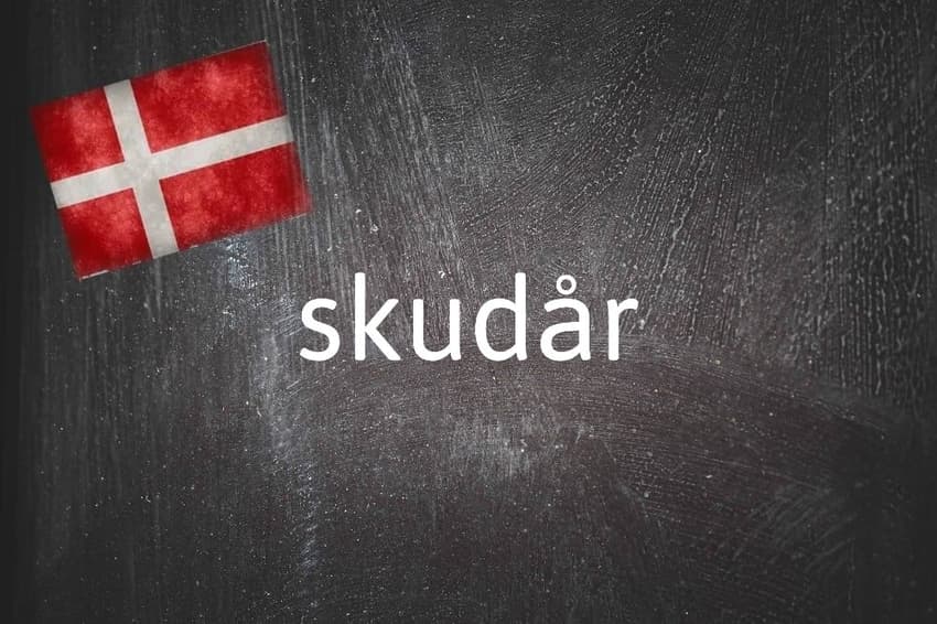 Danish word of the day: Skudår