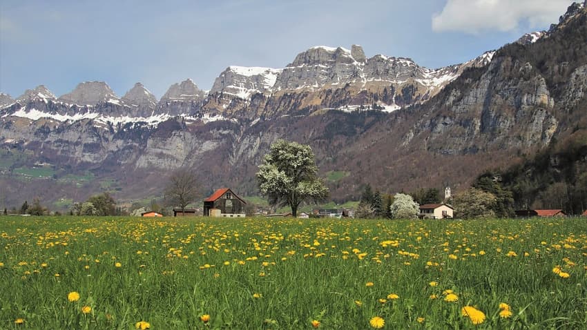 After 'exceptionally' warm February what's the outlook for spring in Switzerland?