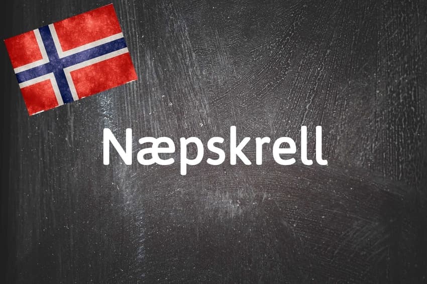 Norwegian word of the day: Næpskrell