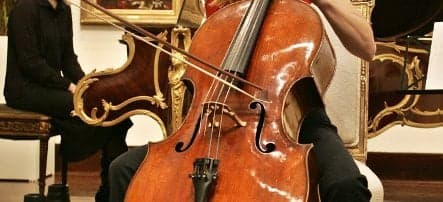 Conductor throws 12-year-old cellist off train