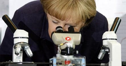Merkel calls for more flexibility in education