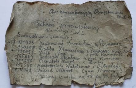 Message in a bottle from Auschwitz prisoner found