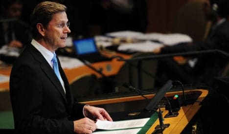 Westerwelle appeals to small states for UN Security Council seat