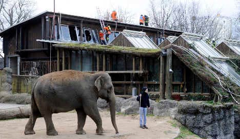 Fire kills animals at Karlsruhe Zoo
