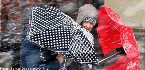 Winter winds prompt Swedish weather warning
