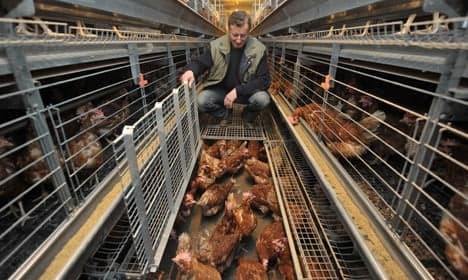 Animal protection means higher food prices, minister says