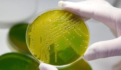Hunt for source of deadly E. coli source continues