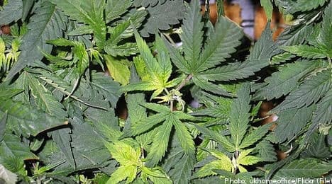 Sweden targets cannabis use