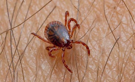 Experts urge vaccinations as tick diseases increase