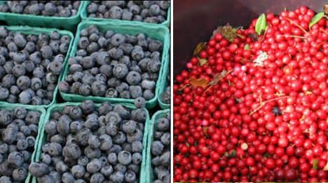 New 'blingon' berry found in Sweden
