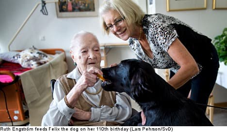 Oldest living Swede celebrates 110 years