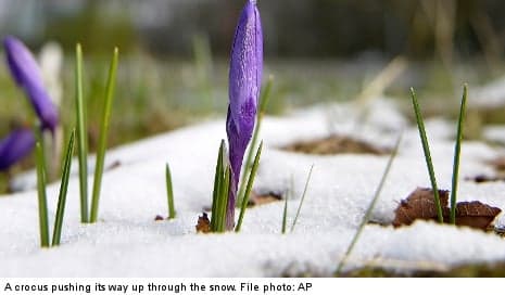 Blizzard warning crushes Swedes' spring hope