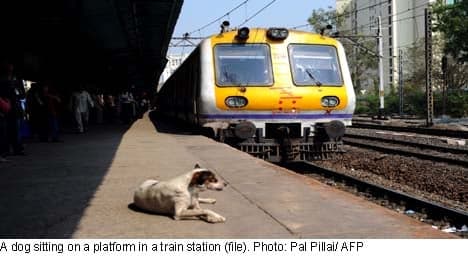 'Delusional' man stops train to fetch dog