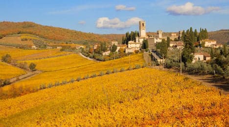 Recession-hit Italians return to vineyards