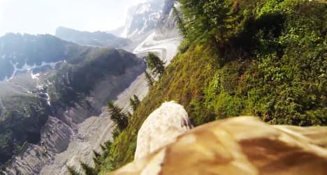 VIDEO: Eagle-cam offers bird's eye view of Alps