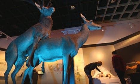 Museum opens risqué animal sex exhibition