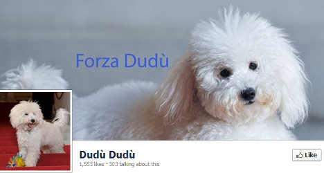 Silvio Berlusconi's pet dog is a Facebook hit