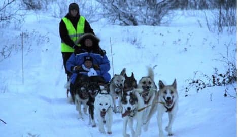 Norway airport launches first dog-sled taxis