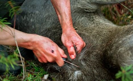 Sweden hunts head-chopping Danish poacher