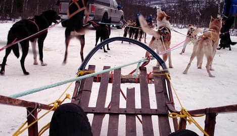 Norway uni to offer dog sled course