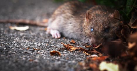 Woman fed gran rat poison in inheritance bid