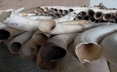 Record tonne of ivory sold at auction in France