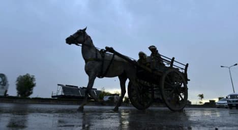 Spanish village turns horses into garbage men