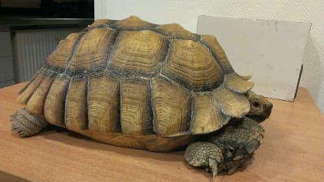 Munich police save giant tortoise from train tracks