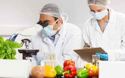 Foodborne disease 'worse than reported'