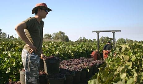 Italians 'exploited' on Australian farms